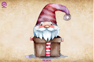 Christmas Gnome in Gift Box