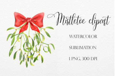 Watercolor mistletoe clipart. Sublimation designs PNG