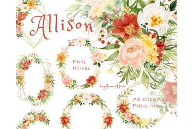 Allison - FULL set