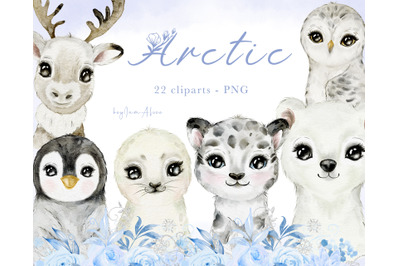 Arctic Baby Animal