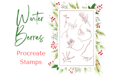 Procreate Winter Berries Stamps X 10