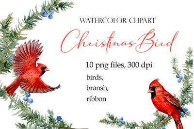 Watercolor Christmas Bird Red Cardinal clipart png