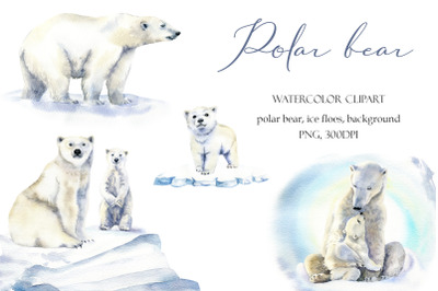 Watercolor polar bear clipart, winter cute animals set, mama bear, dad