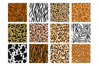 Animal skin pattern. Zoo prints of mammals fur, safari material and ja