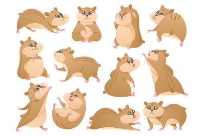 Cartoon hamsters. Cute pet in different poses, fluffy rodent and hamst