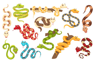 Cartoon snakes in various poses. Anaconda mascot&2C; cute snake and funny