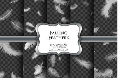 Falling Feather Overlays Transparent PNG