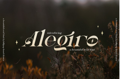 Alegiro Serif Font (Serif Fonts, Classic Fonts, Modern Fonts)