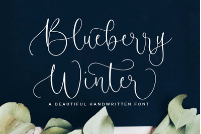Blueberry Winter Beautiful Handwritten Font