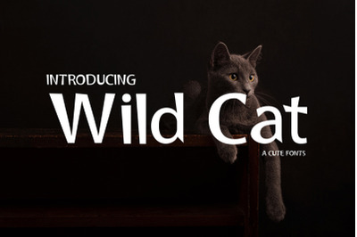 Wild Cat
