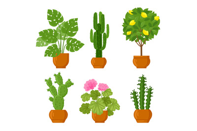 Cartoon house botanical decor potted plants. Different houseplants wit