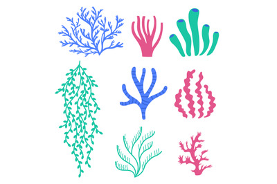 Sea corals and seaweeds. Underwater colorful plants. Undersea floral w