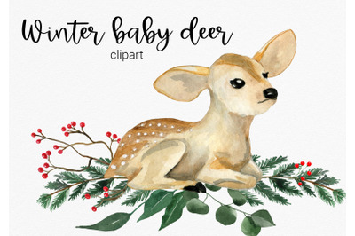 Winter baby deer. Christmas deer baby, winter florals. Watercolor clip
