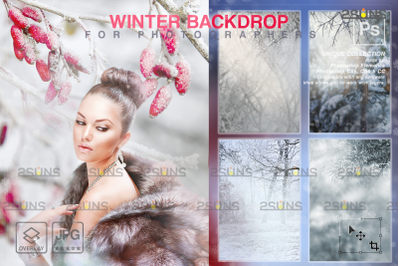 Digital winter backdrops Fine Art Portrait Backgrounds
