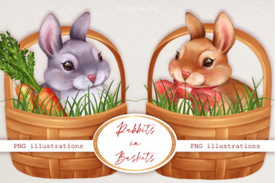 Rabbits in baskets. PNG clipart