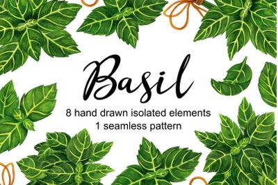 Basil herb watercolor clipart