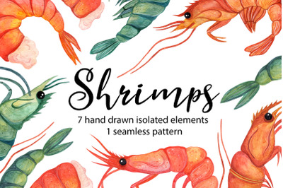 Watercolor shrimp clipart, hand drawn seafood