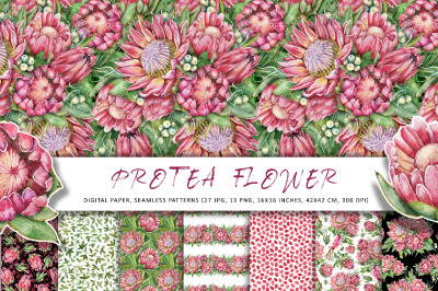 Protea flowers, watercolor digital paper with seamless patterns