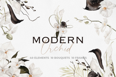 Modern Orchid