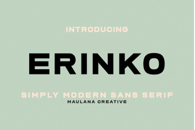 Erinko Simply Modern Sans Serif