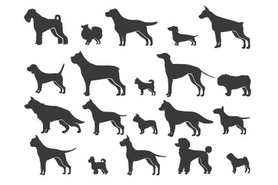 Pointer dog silhouette. Black dogs sizes and breeds, animals silhouett