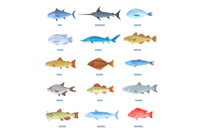 Saltwater and river fishes. Cartoon sea ocean fish, sardine mackerel a