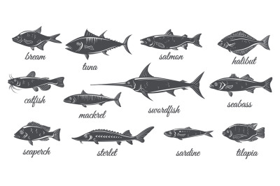 Freshwater and marine silhouette fishes. Fish vintage silhouettes, cat