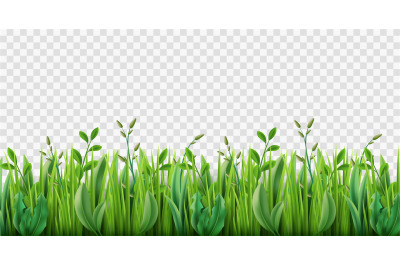 Realistic grass border. Lush strip of green lawn grass, 3d herbs isola