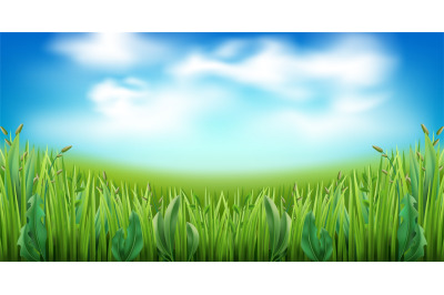 Realistic green grass with clouds on blue sky background. Garden lawn