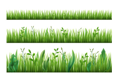 Realistic grass growth. Different stages green plants growing, fresh h