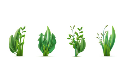 Realistic green grass bouquets. Fresh greenery compositions, garden he