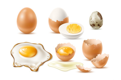 Realistic eggs. Raw and fried natural diet product, 3d chicken and qua