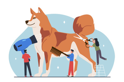 Pet grooming. Big dog with tiny people, groomers hold scissors, comb a