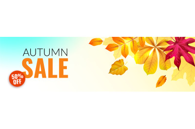 Autumn banner. Orange and yellow fall leaves. Season discount offer wi