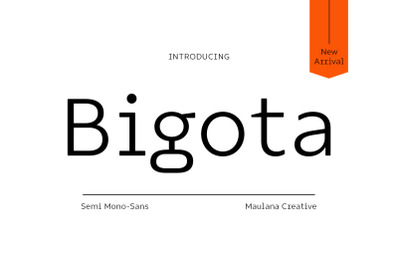 Bigota Mono Sans Font
