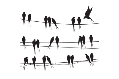 Birds sitting wire. Silhouette flock black bird on telephone electrici