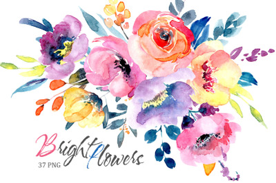 Watercolor Bright Colorful Flowers