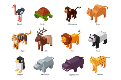 Isometric zoo animals. Low poly panda, penguin toy and tiger. Herbivor