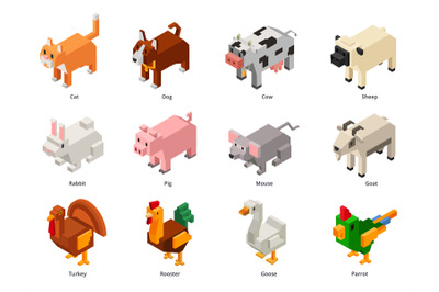 Isometric domestic animals. Low poly pets and farm birds. Squared cat&2C;