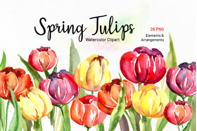 Watercolor Spring Tulips PNG Flowers