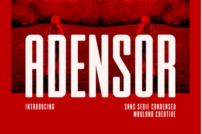 Adensor Condensed Display Font