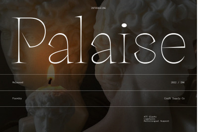 Palaise - Display Serif Typeface