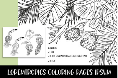 Tropics coloring pages