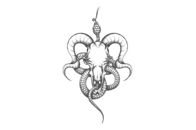 Goat skull and Snake etching Tattoo isolated on white