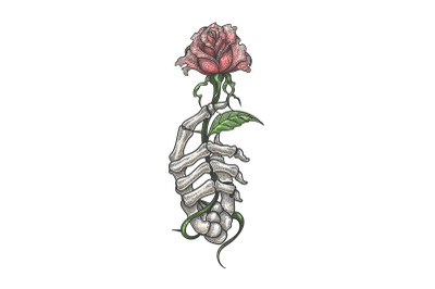 Skeleton hand holds Rose Flower Tattoo isolated on white