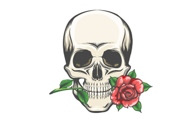 Skull with a Rose in The Teeth Tattoo