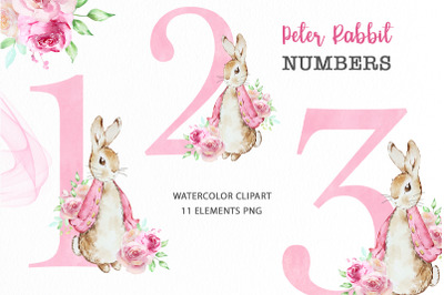 Flopsy Rabbit Pink Floral Numbers PNG