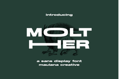 Molther Sans Display Font