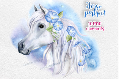 White horse face Watercolor  PNG