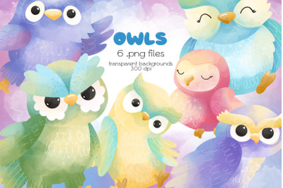 Owls Clipart - PNG Files